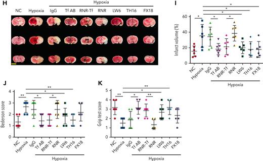 Hypoxia-induced hypercoagulability and thrombosis aggravation, which were reversed by transferrin knockdown and functional interference. (A-C) Effects of anti–Tf-AB, IgG control, RNR-Tf virus, blank (RNR) virus, HIF inhibitor LW6, or peptides TH16 and FX18 on APTT (A), PT (B), and bleeding time (C) in hypoxia-treated mice (n = 6-8). (D-E) Representative images of carotid artery blood flow (left) in FeCl3-treated mice by laser speckle perfusion imaging (D), with region of interest (rectangle in white) placed in carotid artery to quantify blood flow change (E) (n = 6). Color bar at bottom indicates perfusion unit scale (0-989); scale bar represents 1 mm. Mice were subject to inferior vena cava (IVC) stenosis for 24 hours to evaluate venous thrombogenesis. (F-G) The pathological changes were observed through hematoxylin and eosin staining (F) and calculating thrombus weight (G) (n = 6-7); scale bar represents 200 μm. (H-I) Representative images of TTC-stained coronal brain sections (H) and quantitative analysis of stained area (I) on day 1 after tMCAO. Ischemic infarctions appear white, and brain infarct volumes were measured by planimetry (percentage of whole volume). (J-K) Bederson (J) and grip test (K) scores were also measured (n = 6-7); scale bar represents 0.5 cm. Animal experiments were repeated 3 times, independently. Data represent mean ± SD. Each point represents 1 mouse. Panels A-C, E, G, and I-K, ∗P < .05, ∗∗P < .01 by unpaired t test to compare; for example, Tf-AB and IgG groups or RNR-Tf and RNR groups.