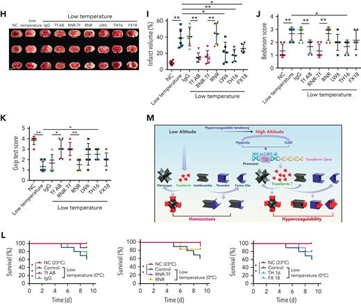 Low temperature–induced hypercoagulability and thrombosis aggravation, which were reversed by transferrin knockdown and functional interference. (A-C) APTT (A), PT (B), and bleeding time (C) in mice are shown (n = 6-7). (D-E) Representative images of carotid artery blood flow in FeCl3-treated mice by laser speckle perfusion imaging (D), with region of interest (rectangle in white) placed in carotid artery to quantify blood flow change (E) (n = 6). Color bar at bottom indicates perfusion unit scale (0-989); scale bar represents 1 mm. Mice were subject to IVC stenosis for 24 hours to evaluate venous thrombogenesis. (F-G) The pathological changes were observed through hematoxylin and eosin staining (F) and calculating thrombus weight (G) (n = 6-7); scale bar represents 200 μm. (H-I) Representative images of TTC-stained coronal brain sections (H) and quantitative analysis of stained area (I) on day 1 after tMCAO. Ischemic infarctions appear white, and brain infarct volumes were measured by planimetry (percentage of whole volume). (J-K) Bederson (J) and grip-test (K) scores were also measured (n = 6). (L) Survival rate of mice in anti-Tf-AB–, RNR-Tf–, RNR virus–, and TH16- and FX18-peptide–treated groups under low temperature (n = 20). (M) Graphical representation of iron and O2 replenishment at high altitude, contributing to thromboembolic disorders. Detrimental environmental factors (hypoxia and low temperature) and high altitude–induced iron deficiency increased HIF-1α levels, which upregulated transferrin to increase iron transport to compensate for erythropoiesis and O2 supply. Simultaneously, abnormally upregulated transferrin caused hypercoagulability by interacting with multiple plasma proteins to potentiate thrombin and FXIIa and inhibit antithrombin. Animal experiments were repeated 3 times, independently. Data represent mean ± SD. Each point represents 1 mouse. Panels A-C, E, G, and I-K, ∗P < .05, ∗∗P < .01 by unpaired t test to compare; for example, Tf-AB and IgG groups or RNR-Tf and RNR groups. Panel L, ∗P < .05 by log-rank test to compare; for example, Tf-AB and IgG groups or RNR-Tf and RNR groups.