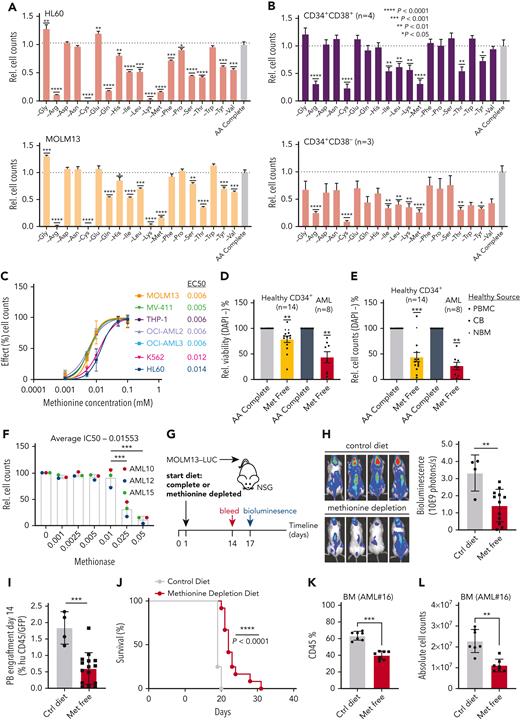 Methionine is a metabolic dependency of AML cells in vitro and in vivo. (A) Relative viable cell number of the AML lines MOLM13 and HL60 grown in amino acid dropout media compared to amino acid complete condition (n = 3). (B) Relative viable cell number of 4 primary AML samples (AML#1-4) divided into the presumed stem (CD34+CD38−) and progenitor (CD34+CD38+) populations and grown on MS5 cells for 7 days in amino acid dropout conditions (n = 4). One AML was entirely CD34+CD38+. (C) EC-50 of AML cell lines grown in a concentration range of methionine (n = 3-5). Effect is the percent stimulation in cell growth with methionine. (D) Relative viability (DAPI−) of healthy CD34+ cells derived from PBMCs (n = 8), normal bone marrow (NBM) (n = 2), cord blood (CB) (n = 4), and from 8 primary AML patient samples (CD34-enriched in the case of NPM1wt AML, mononuclear cells in the case of NPM1cyt AML) (AML#3, 5-11) grown in the absence and presence of methionine for 7 days. (E) Relative viable cell numbers of CD34+ cells derived from NBM and from 8 primary AML patient samples (AML#3, 5-11) grown in the absence and presence of methionine for 7 days. (F) Relative viable cell counts of 3 primary AML samples (AML#10-11, 15) grown in a concentration range of methionase (MGL). (G) Schematic depiction of a MOLM13luc xenograft mouse study in which methionine was depleted from the diet. (H) Bioluminescence examination of AML engraftment performed on day 17 following MOLM13Luc injection. (I) Human CD45 evaluation in peripheral blood samples to assess engraftment on day 14 following MOLM13Luc injection. (J) Kaplan-Meier plot of mouse survival (log-rank test was applied to compare curves). (K) PDX (AML#16) mouse bone marrow (BM) hCD45+ levels (%) at sacrifice. (L) Absolute human cell counts in BM of PDX (AML#16) mouse model. All PDX mice were sacrificed at 1 timepoint. All experiments: error bars represent mean ± standard error of the mean (SEM). Statistical analysis by Student t test or ordinary 1-way analysis of variance, ∗P < .05, ∗∗P < .01, ∗∗∗∗P < .0001.