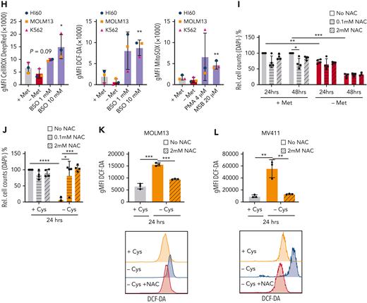 SAM rescues the depletion of methionine in an ROS-independent manner. (A) Schematic illustration of the methionine cycle and associated pathways. Homocysteine can be recycled back to methionine via the methyltransferase activity of MTR and/or BMHT/BHMT2. (B) Relative viable cell growth of HL60 cells grown for 48 hours in the absence of methionine and increasing concentrations of SAM and S-(5′-adenosyl)-L-methionine p-toluenesulfonate salt (SAM-pTSA) (n = 3). (C) Relative viable cell growth of HL60 cells grown for 6 days in the absence of methionine and increasing concentrations of SAM and SAM-pTSA. (D-E) Relative viable cell growth of HL60 and MOLM13 cells grown for 48 hours in the absence of methionine and supplemented with glutathione (GSH) and taurine (n = 3). (F-G) Relative viable cell growth of HL60 and MOLM13 cells grown for 48 hours in the absence of methionine and supplemented with dimethyl-α ketoglutarate (DiM-αKG) vitamin B12 and folic acid (n = 3). (H) ROS levels in the AML cell lines HL60, MOLM13, and K562 as determined by the total cellular ROS probes CellROX and DCF-DA and the superoxide probe MitoSOX.Buthionine sulfoximine (BSO) was used as positive control for CellROX and dichlorodihydrofluorescein diacetate (DCF-DA) and phorbol 12-myristate-13-acetate (PMA) and menadione sodium bisulfite (MSB) for MitoSOX. (I) Relative cell counts of MOLM13 cells grown in the presence or absence of methionine and N-acetylcysteine (NAC) for 24 and 48 hours (n = 4). (J) Absolute cell counts of MOLM13 cells grown with and without cysteine and in the absence or presence of 0.1 mM or 2 mM NAC for 24 hours (n = 4). (K) Graph and dotplot of ROS (DCF-DA) MFI in MOLM13 cells depleted of cysteine alone or also supplemented with 2 mM NAC (representative example from n = 3 experiments). (L) Bar graph and histogram of ROS (DCF-DA) MFI in MV4-11 cells depleted of cysteine alone or also supplemented with 2 mM NAC (representative example of n=3 experiments). Histogram representative of the 3 replicates. All experiments: error bars represent mean ± SEM. Statistical analysis by Student t test or ordinary 1-way analysis of variance (ANOVA), ∗P < .05, ∗∗P < .01, ∗∗∗∗P < .0001.