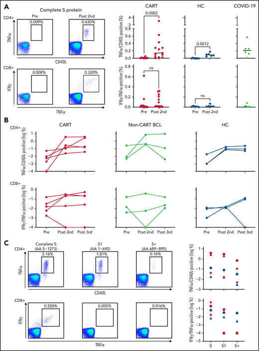 Vaccine-induced SARS-CoV-2–specific T cells in patients with B-cell lymphoma after CD19 CART treatment. (A) T cells specific for the S protein of the SARS-CoV-2 were identified ex vivo after short-term stimulation of total peripheral blood mononuclear cells, by using libraries of overlapping peptides covering the complete sequence of the protein. Intracellular staining of cytokines followed by flow cytometry served as a read-out assay. SARS-CoV-2–specific CD4+ T cells (top left) were defined as tumor necrosis factor-α (TNFα/CD40L (CD154) double-positive CD3+CD4+ T cells, and SARS-CoV-2–specific CD8+ T cells (bottom left) were defined as interferon-γ/TNFα–double-positive CD3+CD8+ T cells. The dot plots on the left show examples of a CART-treated patient (2123-042) without any antiviral T cells before vaccination and easily detectable CD4+ and CD8+ anti-S protein T cells after the second dose of the vaccine. Background levels were typically <0.01% of all CD4+ or CD8+ T cells. Scatterplots indicate levels of SARS-CoV-2–specific CD4+ (top right) and CD8+ T cells (bottom right) before vaccination (11 CART-treated patients; 7 HCs) and after the second dose (13 CART-treated patients; 7 HCs). Gray plots on the right indicate T-cell levels in 6 patients with active COVID-19. Horizontal lines indicate median levels. Differences between groups were analyzed for statistical significance by Mann-Whitney U test. (B) For 5 CART-treated patients (red), 3 patients with B-cell lymphoma (BCL) without prior CART treatment (yellow), and 3 HCs (blue), samples were available at all 3 time points and anti-S CD4+ (top) and CD8+ T cells (bottom) were measured before vaccination, after the second dose, and after the third dose. (C) The number of vaccine-induced CD4+ and CD8+ T cells specific for the complete sequence of the S fusion protein was compared with the number of T cells from the same individual, recognizing the N-terminal S1 protein or the N-terminal part (AA 689-895) of the S2 protein (S+). Dot plots on the left show exemplary data for 2 CART-treated patients with CD4+ (patient 2123-108) and CD8+ (patient 2123-034) T cells, respectively, specific for the SARS-CoV-2 S protein. Symbols on the right show the same type of data for 3 CART-treated patients (red) and 2 HCs (blue).