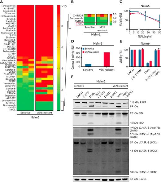 VEN resistance can by overcome by activation of the extrinsic apoptotic pathway. (A) Heat map showing IC50 values of sensitive and VEN-resistant Nalm6 cells for 45 compounds: red, IC50 ≥10 μM; yellow, IC50 ≥5 μM; and green, IC50 ≤1 μM. Cumulative results from 3 experiments. (B) Close-up view of the 3 most potent drugs identified for Nalm6 and corresponding Nalm6-VEN–resistant cells. (C) Cell death assay of sensitive and VEN-resistant Nalm6 for TRAIL (48 hours) determined by flow cytometry. Mean ± SD. N = 3. (D) Results from Caspase-Glo 8 Luminescent Assay in sensitive and VEN-resistant Nalm6 cells after treatment with TRAIL (50 ng/mL, 4 hours). N = 1. (E) Viability of sensitive and VEN-resistant Nalm6 cells after incubation with caspase-8 inhibitor Z-IETD-FMK (25 μM, 6 hours) and/or TRAIL treatment (200 ng/mL, 4 hours) determined by flow cytometry. N = 2. (F) Immunoblots for (t)BID, caspase-3, caspase-8, and PARP isoforms in Z-IETD-FMK and/or TRAIL treated cells. N = 2. DMSO, dimethyl sulfoxide.
