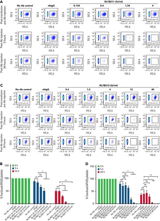 RLYB211 and RLYB212 induce clearance of circulating HPA-1a+ murine platelets. Platelets isolated from APLDQ+ C56BL/6 mice were labeled with the cell tracker dye CMFDA and were transfused (1 × 108 CMFDA-labeled platelets per mouse) into WT Balb/c female mice. One hour after transfusion, an irrelevant human control mAb (1.34 μg), normal human total IgG (2 mg), RLYB211, or RLYB212 at the indicated concentrations were introduced by tail vein injection. Blood samples were collected from the submandibular vein of the recipients following platelet transfusion but before antibody injection and at 5 and 24 hours post–antibody injection. The percentage of CMFDA-labeled platelets remaining in the circulation was determined by flow cytometry. (A,C) Representative flow-cytometric dot plots showing the presence of CMFDA-labeled APLDQ platelets remaining in circulation (box) over time. (B-D) The survival of transfused CMFDA-labeled APLDQ platelets in WT Balb/c female mice at 5 and 24 hours post–antibody injection. The survival of the transfused labeled platelets was calculated by the percentage of the remaining CMFDA+ platelets divided by the beginning percentage of CMFDA+ platelets. Data in panels B and D are the quantification of 5 separate experiments, shown as mean plus or minus standard error of the mean. N = 5 per group. ∗P < .05; ∗∗P < .01 vs normal human IgG as analyzed by the Mann-Whitney U test. nhIgG, normal human IgG; ns, not significant.