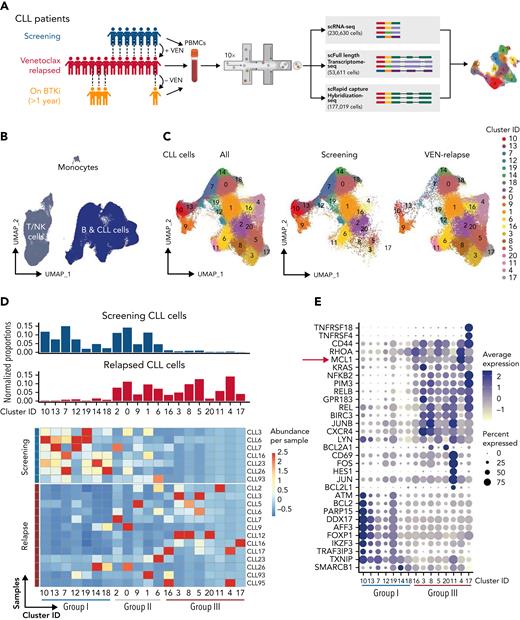 Single-cell multiomics reveals altered gene expression upon acquisition of VEN resistance. (A) Schematic of single-cell multiomics approach. The details of the patients are provided in supplemental Figure 1A-B. Samples taken at different time points from the same patient are connected with dotted lines. (B) UMAP projection of PBMCs (n = 230 360 cells) collected from patients or healthy donors (control samples). (C) UMAP projection specifically of the CLL cells (n = 161 499 cells) collected from patients at screening or after VEN relapse. (D) Upper: bar graphs of normalized proportions of all screening (blue) or relapsed (red) CLL cells from each cluster. Lower: heatmap portrays the abundance of CLL cells per sample (rows) in individual clusters (columns). Blue line: clusters predominantly represented in screening samples (“Group I”); red line: clusters representative of relapsed samples (“Group III”). (E) Dot plots showing a curated list of marker genes unique to the Group I screening-representative clusters or Group III relapse-representative clusters. Color intensity reflects the relative degree of gene expression and the size of the dot indicates the fraction of cells expressing that gene in that cluster, as exemplified by the higher expression of MCL1 present in more cells of the Group III clusters.