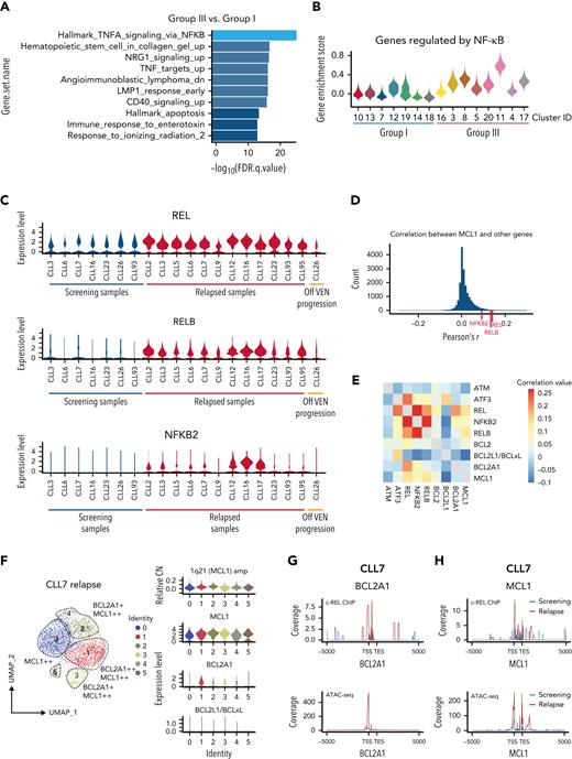Increased MCL1 expression driven by NF-κB at VEN relapse. (A) Bar plots showing pathway enrichment analysis in clusters from Group III (predominantly cells from VEN-relapsed samples) vs clusters in Group I (predominantly cells from screening samples). (B) Violin plots showing NF-κB pathway gene enrichment in Group III relapsed clusters. (C) Relative expression of REL, RELB, and NFKB2 in screening (n = 7; on left) or relapse (n = 13) samples; 1 patient (CLL26; on right) progressed while off VEN. (D) Pearson correlation coefficients were calculated between MCL1 and all other genes. The r score between MCL1 and REL, RELB, or NFKB2 are indicated with red ticks at the bottom. (E) Heatmap showing the correlation in expression between the indicated genes in the relapsed samples. Red shades indicate stronger positive correlations. (F) UMAP projections (left) of CLL cells from CLL7 at relapse, with violin plots (right panels) showing inferred CN variation of 1q21 (MCL1) or relative expression of indicated prosurvival genes across the individual clusters. (G-H) c-REL ChIP and chromatin accessibility at the BCL2A1 (G) and MCL1 (H) loci 5000 kb upstream of the transcriptional start site (TSS) or 5000 kb downstream of the transcriptional end site (TES) in purified CLL cells from screening (blue) or relapsed (red) samples from CLL7.