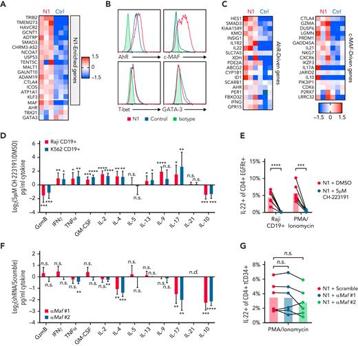 NOTCH1 agonism programs cytokine production by inducing AhR and c-MAF. (A) Ahr, Tbx21, Gata3 and genes enriched in N1 compared with control CD4+ CAR-T at day 3 of culture. Heatmaps depict log2(normalized count/global average) with a cutoff at 1.5-fold change. N = 3 donors per group. Significance was established as a minimum fold change of 1.5 and P < .05. See also supplemental Table 2. (B) Intracellular staining for AhR, c-MAF, T-bet, and GATA-3 in N1 and control CD4+ CAR-T at day 3 of culture. Histograms are representative of 5 donors. (C) Expression of AhR- and c-MAF–driven genes in N1 and control CD4+ CAR-T quantified by RNAseq on day 3 of culture. Heatmaps depict log2(normalized count/global average) with a cutoff at 1.5-fold change. N = 3 donors per group. (D) Luminex quantification of cytokine production by CD19-specific N1 CD4+ CAR-T grown in DMSO or 5 μM CH-223191 after 24 hours of coculture with irradiated CD19+ Raji or K562 tumor in absence of drug. Graph shows mean and standard deviation of relative sample values from 8 donors. Ratio-paired 2-tailed Student t test. ∗P < .05; ∗∗P < .01; ∗∗∗P < .005; ∗∗∗∗P < .001. (E) Intracellular staining for IL-22 in N1 CD4+ CAR-T grown in DMSO or 5 μM CH-223191 after restimulation for 5 to 8 hours with PMA/ionomycin or CD19+ Raji tumor. N = 6 donors. Ratio-paired 2-tailed Student t test. ∗∗∗P < .005; ∗∗∗∗P < .001. (F) Luminex quantification of cytokine production by N1 CD4+ T cells transduced with a scrambled or Maf-targeting shRNA after 24 hours of stimulation with PMA and ionomycin. Graph shows mean and standard deviation of relative sample values from 6 donors. One-way ANOVA of log-transformed pg/ml values with Dunnett’s multiple comparison testing. ∗∗P < .01; ∗∗∗P < .005; ∗∗∗∗P < .001. (G) Intracellular staining for IL-22 in N1 CD4+ T cells transduced with a scrambled or Maf-targeting shRNA after restimulation for 5 to 8 hours with PMA/ionomycin. N = 6 donors. One-way ANOVA of log-transformed pg/ml data with Dunnett’s multiple comparison testing. Ctrl, control; DMSO, dimethyl sulfoxide; n.s., not significant.