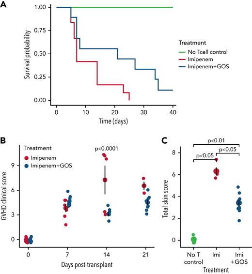 Survival (A), GVHD clinical score (B), and histopathological score of skin (C) in imipenem-treated mice following HSCT, with and without GOS supplementation. GOS supplementation significantly improved survival (n = 12 mice per treatment group, n = 5 in “No Tcell control,” P = .0087, log-rank test; hazard ratio = .224, Cox regression, A). GVHD clinical score, an observational indicator of GVHD severity, was assessed weekly following transplantation for each mouse (n = 15 per group, B). Presence of GVHD and its severity was calculated out of six categories: body weight, skin, fur, posture, and activity as well as diarrhea (supplemental Table 1). This combined score was lower on Day 14 in GOS-supplemented mice (P < .0001, Tukey’s honestly significant difference post-hoc test following significant ANOVA, P = .0005). Tissue samples of skin were taken from the back of the neck and scored with a semiquantitative system for documenting GVHD damage with criteria as outlined in supplemental Table 2.25 Total skin score (a histological indicator of GVHD-mediated tissue damage in skin, graded by a blinded and independent pathologist) was assessed at Day 14 post-transplant in all surviving mice (three of 15 in GOS-free group, 10 of 15 in GOS group, C, P values calculated with Wilcoxon tests). Mean and standard error are depicted by larger points and error bars (B-C).