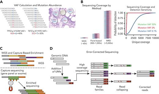 Key concepts in sequencing-based diagnostics. (A) VAF represents the ratio of sequencing reads that contain a variant divided by the total number of reads at that position. Because most somatic mutations are heterozygous, doubling the VAF generally indicates the fraction of cells with the mutation (except when the mutation occurs in a region of copy number alteration). (B) Coverage represents the number of sequencing reads (red and blue indicating forward and reverse reads, respectively) that span a particular region. Approximate coverage levels for different sequencing approaches are compared. Higher coverage (or more independent observations) generally yields more sensitive sequencing. Shown on the right is the coverage depth required to detect mutations at various VAFs. Binomial sampling probability for detection of variants with VAFs of 50% (typical inherited variants; black), 2% (general sensitivity for targeted panels; red), and 0.1% (MRD assays; blue) assuming each variant must be seen at least twice. (C) DNA-sequencing methods. In WGS, libraries are created by ligating sequencing adapters (gray and orange) to the 3′ and 5′ ends of short genomic DNA fragments called “inserts.” Gene panels or exome sequencing enriches DNA of interest form a library using antisense capture probes (green) labeled with biotin, which are then hybridized to DNA inserts from the sequencing and then physically enriched using streptavidin-coated magnetic beads. (D) High-sensitivity sequencing for MRD detection requires error correction to reliably identify mutations below the intrinsic error rate of the sequencer and to account for PCR errors. Error-corrected deep sequencing reduces false-positive calls for low VAF variants by tagging individual DNA molecules with unique molecular identifiers (UMIs). In this example a “true” mutation “T” is present in a single DNA molecule that labeled with a UMI (green). Library amplification and sequencing will result in duplicate DNA molecules each labeled with the same UMI. Randomly accumulated sequencing and PCR errors (orange) will be present in only a subset of reads with a particular UMI (green, purple, red). During sequencing analysis, variants present on only a subset of reads from a particular “read family” with the same UMI will be discarded as errors; true mutations present in the original DNA molecule will be detected in all reads within a read family with the same UMI. UMI methods can be further improved by tracking both DNA strands using “duplex sequencing,” which can yield sensitivities of 10−6.31 Professional illustration by Patrick Lane, ScEYEnce Studios.