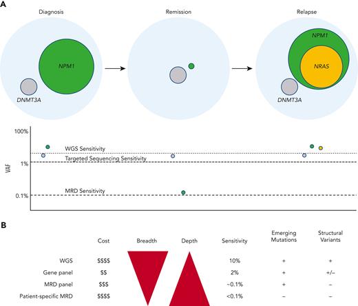 Sequencing-based tumor burden monitoring in myeloid neoplasms. (A) In this AML example, sequencing identifies NPM1 and DNMT3A mutations at diagnosis with the NPM1 mutation representing the founding clone (green: based on higher mutation VAF) and DNMT3A representing a subclone (gray: based on lower mutation VAF). Estimated sensitivity to detect mutations for different sequencing approaches is shown below. As the patient enters remission, the NPM1-mutated clone is partially cleared, becoming undetectable by panel-based sequencing and WGS but remains detectable by high-sensitivity MRD sequencing. In this example, the DNMT3A-mutated clone remains without significant change in VAF, consistent with persistent clonal hematopoiesis. Finally, the patient relapses with the same NPM1-mutated founding clone plus a newly acquired NRAS mutation. (B) A comparison of sequencing methods for MRD monitoring. Although WGS offers the greatest sequencing breadth and is capable of detecting structural variants such as CNAs and chromosomal translocations, standard coverage is generally only ∼60×, limiting detection to mutations with VAFs > 10%. Targeted sequencing is generally limited to 50 to 500 genes, providing minimum sequencing breadth but can achieve high coverages (1000×) at a lower cost than WGS and provides adequate sensitivity (2% VAF) for initial diagnostic evaluation. MRD panels are similar to targeted panels but use much higher sequencing depths and use UMIs to achieve sensitivities of ∼0.1% VAF allowing for MRD monitoring. MRD panels are generally easy to implement but may be of limited clinical utility for patients with few mutations covered by the panel. In patient-specific MRD sequencing, mutations are identified at diagnosis using broad methods such as exome sequencing or WGS, ensuring an adequate number of mutations to track. These mutations are then individually targeted using custom probes at subsequent time points. By focusing sequencing on known mutations, patient-specific MRD can achieve extremely high detection sensitivities for nearly all patients. Patient-specific MRD, however, can be logistically challenging and expensive to implement because it requires custom probe designs and validation for every patient. Patient-specific methods also cannot detect newly acquired mutations that were not targeted by probes at diagnosis. Professional illustration by Patrick Lane, ScEYEnce Studios.