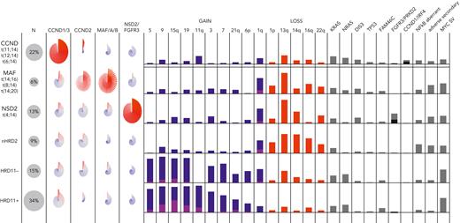 The molecular classification of MM. Data from the COMMpass study (clinical trial identifier: NCT0145297) are summarized, showing the 5 nonoverlapping subgroups and their associated gene expression, CNVs, SVs, and SNVs. The pinwheels show the expression of CCND, MAF, NSD2, and FGFR3 for individual patients in each group. Gains of chromosomes (or arms) are shown in blue (1 copy) or purple (>1 copy). For illustration, the hyperdiploid subgroup is further subdivided into those with (HRD11-positive) and without (HRD11-negative) trisomy 11, and the patients without translocations or hyperdiploidy are labeled nHRD2 (MM, NOS). Mutations of FGFR3 (black) and PRKD2 (gray) are common in NSD2, whereas mutations of CCND1 (black) and IRF4 (gray) are common in CCND. A variety of different mutations can activate NF-κB (TRAF3, BIRC2/3, and others). Adverse secondary events include biallelic inactivation of CDKN2C, TP53, or RB1. MYC SVs are most common in hyperdiploid MM.