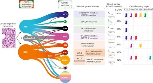 Genetic subgroups of DLBCL illustrated using the LymphGen algorithm. The relationships between COO and the probabilistic assignments to genetics-based subgroups are shown. The size of the subgroup circles approximates the proportions of patients in each group, with the prevalence based on Schmitz et al,185 adjusted for a population-based distribution of COO subgroups. Tumors assigned with high confidence to ≥2 subgroups are assigned to the composite group, while ∼37% of tumors are not assigned to any subgroup with sufficient confidence (other). The hallmark genetic features are those frequent within that subgroup but are not required for that assignment. OS following R-CHOP chemoimmunotherapy along with inferred drug targets are shown. GCB, germinal center B-cell–like.