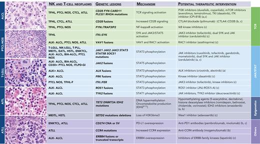Recurrent genetic lesions in mature NK-cell and T-cell neoplasms with potential therapeutic intervention. Representative histology of entities with frequent genetic lesions potentially amenable to therapeutic intervention are shown on the left. The genetic lesions are presented according to functional groups related to TcR signaling, JAK/STAT pathway, epigenetics, or others. Therapeutic efficacy is supported by clinical trial (a); case reports, small case series, or retrospective analyses (b); or experimental or in silico data (c). AITL, Angioimmunoblastic T-cell lymphoma; ATLL, adult T-leukemia/lymphoma; CTCL, cutaneous T-cell lymphoma; ITLPD-GI, indolent clonal T-cell LPD of the gastrointestinal tract; TFHL-F, TFHL, follicular type; T-PLL, T-cell prolymphocytic leukemia. Sources referenced: 268, 270, 278, 284, 291, 293, 330, 338, 339, 341, 345, 475-487.