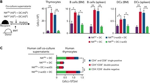 Donor alloreactive NK cells trigger recipient DCs to synthesize proteins that accelerate post-BMT immune reconstitution. (A) Recipient murine chimeras were constructed in which hematopoietic lineage cells and nonhematopoietic tissues differed in their MHC class I, thus rendering tissues either potentially susceptible (H-2b) or resistant (H-2d or H-2d/b) to donor (H-2d) NK cell alloreactivity. Chimeras were conditioned and received NK cells and BMT from H2d mice. Illustrations show potential target cell susceptibility (→) or resistance (→|) to NK cell alloreactivity for each individual chimera. Post-BMT cell counts showed that, unlike NK-susceptible nonhematopoietic tissue (chimera 1), NK-susceptible hematopoietic cells were necessary for accelerated immune reconstitution (chimera 2). In particular, NK-susceptible DCs were the only recipient hematopoietic lineage cell that was necessary for accelerated immune rebuilding; accelerated post-BMT immune reconstitution did not occur in chimeras that had NK-resistant DCs (chimera 3), whereas accelerated post-BMT immune reconstitution did occur in chimeras with NK-susceptible DCs (chimera 4). (B) H-2d NK cells (NKallo) were cocultured with allogeneic H-2b DCs to generate alloreactive NK/DC coculture supernatants. In control experiments, in order to obtain nonalloreactive NK/DC coculture supernatants, H-2d NK cells (NKsyn) were cocultured with syngeneic H-2d DCs. The supernatants were infused into lethally irradiated mice before BMT. Infusion of alloreactive NK/DC coculture supernatants accelerated post-BMT immune recovery. Infusion of supernatants from alloreactive NK/DC cocultures in which DNA transcription was blocked in DCs by actinomycin D (actD), but not in NK cells, failed to accelerate immune reconstitution (cell counts at day +20 are shown). (C) Human alloreactive NK/DC coculture supernatants (NKallo), obtained by coculturing alloreactive NK cell clones (from HLA class I C1/C2 group heterozygous individuals) and NK-susceptible DCs (from HLA class I C group homozygous individuals), were added to thymocyte/TEC cocultures. Unlike supernatants obtained from human nonalloreactive (autologous) NK/DC combinations (NKauto), human alloreactive NK/DC coculture supernatants increased human thymocyte counts in vitro. DNA transcription blockade in DCs, but not in NK cells, prevented the increase in human thymocyte counts (cell counts at day 10 of culture are shown). ∗P < .05, ∗∗P < .01.