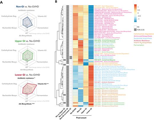 GVHD patients present distinct postonset predicted PICRUSt pathways. (A) Radar chart representation of PICRUSt predicted functional pathways belonging to 6 main metabolic pathways: carbohydrate degradation, nucleotide biosynthesis, amino acid biosynthesis, antibiotic resistance, vitamin K2 biosynthesis, and fermentation for GVHD patients post-GVHD onset relative to no-GVHD controls. Axis represents fold change relative to no-GVHD patients. (B) Heat map with hierarchical clustering of statistically significant (FDR P ≤ .05) unique PICRUSt pathways. Figure displays pathways found in a minimum of 5% of samples within all groups. LGI GVHD patients show increased abundance of pathways associated with general antibiotic resistance and vitamin K2 metabolism with lower abundance of pathways linked to amino acid biosynthesis relative to no-GVHD patients. Lower abundance of pathways specific to butyrate production was also found in LGI patients compared with no-GVHD controls (bold). ∗FDR P ≤ .05; ∗∗FDR P ≤ .01; ∗∗∗FDR P ≤ .001. NS, not significant.