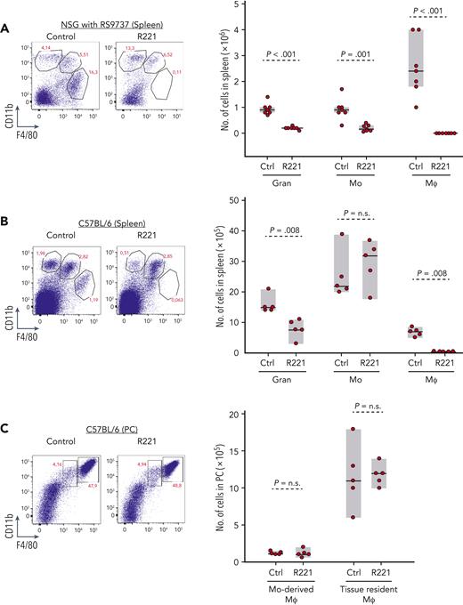 Effects of R221 treatment on monocyte/macrophage populations in NSG and C57BL/6 mice. (A) Representative flow cytometry analysis showing the percentage of granulocytes (CD11b+F4/80−), monocytes (CD11b+F4/80int), and monocyte-derived macrophages (CD11blowF4/80hi) gated on viable CD45+ cells isolated from the spleen of R221- or vehicle control–treated NSG mice (n = 7 per group) xenografted with RS9737 cells. The box plot shows the absolute number of granulocytes (Gran), monocytes (Mo), and macrophages (Mφ) in the spleen of vehicle control– and R221-treated NSG mice. (B) Flow cytometry dot plots and box plot showing the percentage (left) and the absolute number (right) of Gran, Mo, and Mφ in the spleen of R221- or vehicle control–treated C57/BL6 mice. (C) Flow cytometry dot plots and box plot showing the percentage (left) and the absolute number (right) of monocyte-derived Mφ (CD11b+F4/80int) and tissue-resident Mφ (CD11b+F4/80hi) in the PC of R221 and vehicle control C57/BL6 mice. Cell populations were defined as described in Hanna et al44 Statistical analysis was done using the t test or Mann-Whitney test, as appropriate.
