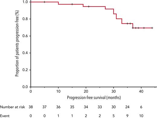 Progression-free survival (N = 38).