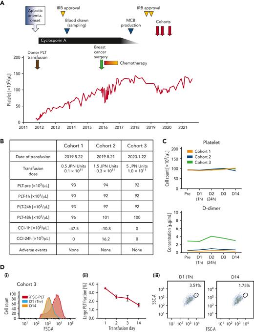 Clinical trial assured safety and circulation of autologous iPSC-PLTs. (A) Clinical course of the participant from the onset of aplastic anemia. Institutional review board (IRB) approval by Kyoto University was received to establish the imMKCLs and produce the iPSC-PLTs. Then, the clinical trial for administering the iPSC-PLTs was approved by Kyoto University and by the Ministry of Health, Labour and Welfare, Japan, based on the Act on Safety of Regenerative Medicine. (B) iPSC-PLTs were administered in a dose-escalating manner in 3 dose cohorts: 0.5, 1.5, and 5 Japanese units, which correspond to 0.1 × 1011, 0.3 × 1011, and 1.0 × 1011 platelets, respectively. No significant adverse event was observed. (C) Peripheral blood platelet count and D-dimer of the patient collected preinfusion on days 1 (D1, 1 hour after transfusion), 2, 3, and 14 for the 3 dose cohorts are shown. (D) Flow cytometry analysis of the patient peripheral blood PLT fraction in cohort 3. (i) An overlaid histogram of the forward scatter (FSC-A) of iPSC-PLTs before infusion (iPSC-PLT) and peripheral blood platelets on days 1 and 14. (ii) Percentage of the gated large PLT fraction on days 1, 2, 3, and 14 of the iPSC-PLT transfusion. Average of triplicates with standard deviation are shown. (iii) Representative scatter plots of the FSC-A and side scatters (SSC-A) with gating of the large platelet fraction on days 1 and 14.