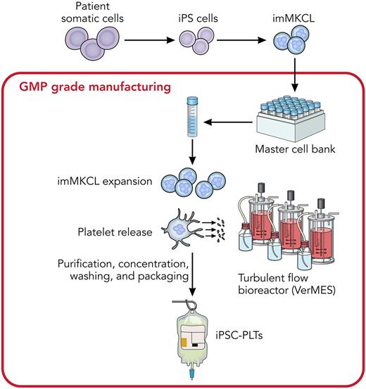Diagram showing the large-scale production of iPSC-PLTs from imMKCLs, derived from a patient with aplastic anemia for autologous transfusion. Professional illustration by Patrick Lane, ScEYEnce Studios.