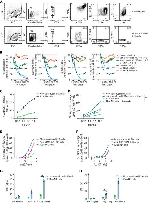 iDuo NK cells target malignant B cells through anti-CD19 CAR and hnCD16. (A) Representative flow cytometry plots showing surface expression of hnCD16, anti-CD19 CAR, and membrane-bound IL-15RF on non-transduced iNK cells and iDuo NK cells. (B) Non-transduced iNK cells, iDuo NK cells, and PBNK cells activated with 10 ng/mL IL-15 overnight were used as effectors against NLR-transduced Daudi, JeKo-1, Raji, and AHR-77 cells at the indicated E:T ratios in 72-hour IncuCyte assays. Shown are the percentages of live target cells over time normalized to tumor cells alone. Results are representative of two independent experiments. (C) Non-transduced iNK cells and iDuo NK cells were cocultured with NLR-transduced AHR-77 cells labeled with IncuCyte Caspase-3/7 dye at the indicated E:T ratios. Statistical significance was determined by two-way ANOVA. Results are representative of three independent experiments. (D) Non-transduced iNK cells and iDuo NK cells were cocultured with NLR-transduced CD19 knockout AHR-77 cells labeled with IncuCyte Caspase-3/7 dye with or without 1 μg/mL rituximab at the indicated E:T ratios. Statistical significance was determined by two-way ANOVA. Non-transduced iNK cells, anti-CD19 CAR iNK cells, and anti-CD19 CAR/IL-15RF iNK cells were cocultured (E) wild-type Nalm6 cells and (F) CD19 knockout Nalm6 cells labeled with IncuCyte Caspase-3/7 dye at the indicated E:T ratios. Statistical significance was determined by two-way ANOVA. Non-transduced iNK cells and iDuo NK cells were used as effectors and cocultured with Raji cells or Raji cells + 1 μg/mL rituximab at a 2:1 E:T ratio for 5 hours. NK cells were then assessed by flow cytometry for (G) surface CD107a levels and (H) intracellular IFN-γ levels. Results are from three independent experiments. Shown is mean ± standard deviation. Statistical significance was determined by paired two-tailed Student t tests. ∗P ≤ .05, ∗∗P ≤ .01, ∗∗∗P ≤ .001, ∗∗∗∗P ≤ .0001.