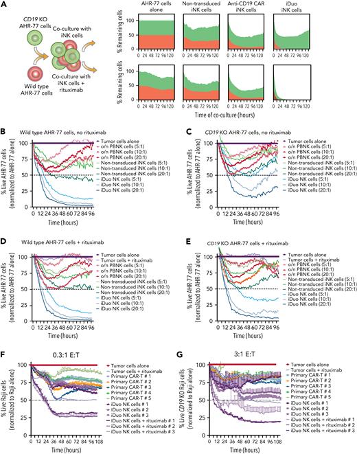 iDuo NK cells eliminate CD19−B cells in models of antigen escape. (A) Wild-type AHR-77 cells transduced with NucLight Red and CD19 knockout AHR-77 cells transduced with NucLight green were mixed at a 1:1 ratio and cultured alone or cocultured with non-transduced iNK cells, anti-CD19 CAR iNK cells, or iDuo NK cells at a 10:1 E:T ratio in the presence or absence of 1 μg/mL rituximab. The percentages of live green and red cells were tracked over time in IncuCyte assays. Shown are overlaid killing curves from a representative experiment. IncuCyte assays were also performed using PBNK cells activated overnight with 10 ng/mL IL-15, non-transduced iNK cells, and iDuo NK cells as effectors at the indicated E:T ratios against (B) wild-type AHR-77 cells in the absence of rituximab, (C) CD19 knockout AHR-77 cells in the absence of rituximab, (D) wild-type AHR-77 cells in the presence of 1 μg/mL rituximab, and (E) CD19 knockout AHR-77 cells in the presence of 1 μg/mL rituximab. The percentages of live AHR-77 cells in each coculture condition were normalized to AHR-77 cells alone and graphed over time. All results are representative of two to three independent experiments. All conditions were run in triplicate. Primary anti-CD19 CAR T cells from five donors and iDuo NK cells from three different expansions were cocultured with NLR-transduced Raji cells at (F) low (0.3:1) and (G) high (3:1) E:T ratios in IncuCyte assays. iDuo NK cells were cocultured with targets in the presence or absence of 1 μg/mL rituximab. The percentages of live Raji cells in each coculture condition were normalized to Raji cells alone and graphed over time. All conditions were run in triplicate. Results are representative of two independent experiments.