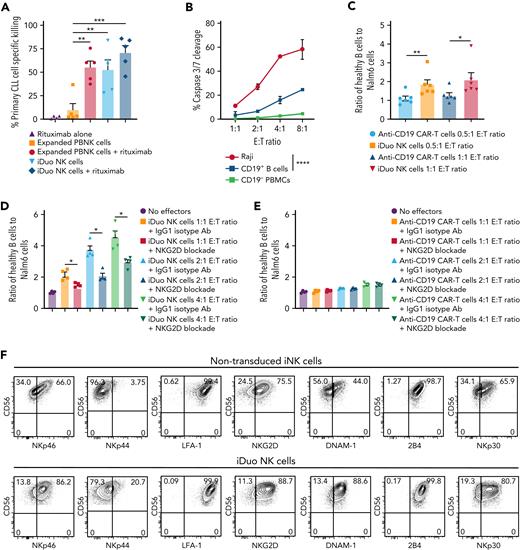 iDuo NK cells efficiently kill primary CLL cells and preferentially target malignant B cells. (A) iDuo NK cells and feeder-expanded PBNK cells were cocultured with CellTrace Violet-labeled CLL cells collected from five different patients in the presence or absence of 1 μg/mL rituximab for 5 hours. Percent specific killing was determined by subtracting the percentage of live CLL cells in each condition to CLL cells cultured alone. Results are from two independent experiments. Statistical significance was determined by one-way ANOVA with multiple comparisons. (B) iDuo NK cells were cocultured with IncuCyte Caspase-3/7 dye-labeled Raji cells and peripheral blood mononuclear cells (mixed at a 1:1 ratio) at the indicated E:T ratios for 4 hours. Shown is caspase 3/7 cleavage in target cells as determined by flow cytometry. Results are representative of two independent experiments. (C) iDuo NK cells and primary anti-CD19 CAR T cells were cocultured for 4 hours with CellTrace Violet-labeled CD19+ B cells isolated from five healthy donors and Nalm6 cells expressing GFP at a 1:1 ratio. Shown are the ratios of healthy B cells to Nalm6 cells in each culture condition relative to targets cultured alone. Statistical significance was determined by unpaired two-tailed Student t tests. Results are from two independent experiments. (D) iDuo NK cells and (E) primary anti-CD19 CAR T cells were cocultured for 4 hours with CellTrace Violet-labeled CD19+ B cells isolated from four healthy donors and Nalm6 cells expressing GFP at the indicated E:T ratios in the presence of 10 μg/mL mouse IgG1κ or anti-NKG2D blocking antibody. Shown are the ratios of healthy B cells to Nalm6 cells in each culture condition relative to targets cultured alone. (F) Flow cytometry plots showing surface levels of the indicated activating receptors on non-transduced iNK cells and iDuo NK cells. Results are representative of two independent experiments. Statistical significance was determined by unpaired two-tailed Student t tests. Results are from two independent experiments. Shown is mean ± SD. ∗P ≤ .05, ∗∗P ≤ .01, ∗∗∗P ≤ .001, ∗∗∗∗P ≤ .0001.