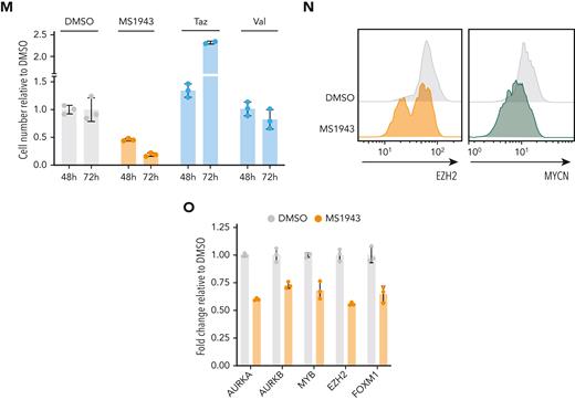 EZH2 is a cofactor for transcriptional activation together with MYCN. (A) Schematic representation of the top 100 MYCN direct target genes. (B) Normalized expression levels of Ezh2 in CD4 T cells and in MYCN-driven lymphoma cells. (C) Western blot showing expression levels of MYCN, Ezh2, and Suz12 in normal CD4 T cells and in MYCN-driven TCL spleen cells. (D) Representative ChIP-seq tracks for the Ezh2 promoter showing binding of MYCN, Ezh2, Suz12, p300, and histone marks H3K4me3, H3K27ac, and H3K27me3 in MYCN-driven TCL. (E) Normalized counts for EZH2 from the PTCL-NOS and FTCL cases from the Leuven cohort and the Kyoto cohort. Patients with overexpression of MYCN are indicated with stars. (F) Centered read-density heat maps showing binding locations of Ezh2, Suz12, MYCN, p300, H3K27ac, H3K4me3, and H3K27me3 in MYCN-driven TCL. Heat maps centered and ranked on Ezh2 signal strength in active promoters (top) or in regions enriched for H3K27me3 (bottom). (G) Venn diagram of EZH2 peaks in direct MYCN target genes and their overlap with H3K27ac or H3K27me3 peaks. (H) Normalized enrichment scores for different hallmark gene sets in the differentially expressed direct EZH2+MYCN target genes. (I) GSEA showing enrichment of different MYC target gene sets and stemness-associated gene sets in the differentially expressed direct EZH2+MYCN target genes. (J) Luciferase assay in HEK293T cells showing transcriptional activation of Firefly luciferase by MYCN and/or EZH2 (wild type or methyltransferase-inactivating mutants). (K) Forty-eight–hour ex vivo treatment of MYCN-driven TCL spleen cells with 2 μM of the EZH2 methyltransferase inhibitors tazemetostat and valemetostat, or the EZH2 degrader MS1943. n.s., not significant. (L) Fluorescence-activated cell sorter (FACS) analysis of EZH2 and MYCN in MYCN-driven TCL spleen cells treated ex vivo with DMSO or MS1943 for 12 hours. (M) In vitro treatment of RPMI-8402 cells with 5 μM MS1943, tazemetostat (Taz), or valemetostat (Val). (N) FACS analysis of EZH2 and MYCN in RPMI-8402 cells after treatment with 7 μM MS1943 or DMSO. (O) Quantitative reverse transcription polymerase chain reaction (qRT-PCR) analysis of MYCN and EZH2 target gene expression in RPMI-8402 cells treated for 36 hours with 2.5 μM MS1943 or DMSO. See also supplemental Figures 4 and 5. ∗∗∗∗P < .0001, ∗∗∗P < .001, ∗∗P < .01, ∗P < .05.
