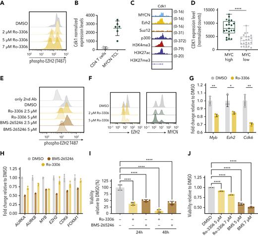 Ezh2-driven transcriptional activation requires CDK1-mediated phosphorylation. (A) FACS analysis of phospho-EZH2 (T487) in MYCN-driven TCL spleen cells treated ex vivo with DMSO or Ro-3306 (CDK1 inhibitor) for 8 hours. (B) Normalized expression levels of Cdk1 in CD4 T cells and in MYCN-driven lymphoma cells. (C) Representative ChIP-seq tracks for the Cdk1 promoter showing binding of MYCN, Ezh2, Suz12, p300, and histone marks H3K4me3, H3K27ac, and H3K27me3 in MYCN-driven TCL. (D) Normalized counts for CDK1 from the PTCL cases from the Leuven cohort and the Kyoto cohort. Stars indicate patients with MYCN overexpression. (E) FACS analysis of phospho-EZH2 (T487) in RPMI-8402 cells treated for 16 hours with CDK1 inhibitors Ro-3306 or BMS-265246. (F) FACS analysis of EZH2 or MYCN in MYCN-driven TCL spleen cells treated ex vivo with DMSO or Ro-3306 for 8 hours. (G) qRT-PCR analysis of MYCN and EZH2 target gene expression in MYCN-driven TCL cells treated ex vivo for 8 hours with 4 μM Ro-3306. Data are represented as mean ± standard deviation. (H) qRT-PCR analysis of MYCN and EZH2 target gene expression in RPMI-8402 cells treated for 36 hours with Ro-3306 or BMS-265246. (I) Twenty-four- and 48-hour ex vivo treatment of MYCN-driven TCL spleen cells with 2 μM of the CDK1 inhibitors Ro-3306 or BMS-265246. (J) Sixty-hour treatment of RPMI-8402 cells with CDK1 inhibitors Ro-3306 and BMS-265246. ∗∗∗∗P < .0001, ∗∗∗P < .001, ∗∗P < .01, ∗P < .05.