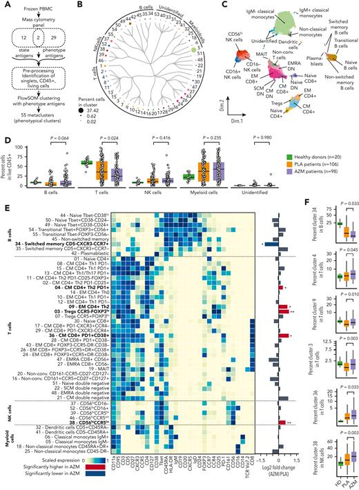 Azithromycin intake is associated with immune cell subset changes. (A) Frozen peripheral mononuclear blood cells (PBMCs) from patients included in placebo (PLA; n = 106) or azithromycin (AZM; n = 98) arm and from healthy donors (n = 20) were thawed and analyzed by means of mass cytometry with a panel targeting 43 antigens used to cluster cells according to their phenotype and T-cell functional state (naïve, activated, or exhausted). A preprocessing pipeline was used to normalize data across batches and then identify singlet CD45+ living cells. Fifty-five cell-phenotypic subsets were identified with the use of 31 phenotype antigens and FlowSOM algorithm. (B) Circular dendrogram showing the 55 cell-subset hierarchy colored according to the corresponding subsets and sized by frequency among CD45+ cells. (C) Uniform manifold approximation and projection, depicting cell clustering colored according to their subsets. (D) Boxplots representing percentage of main PBMC subsets among living CD45+ cells according to sample groups. (E) Heatmap representing scaled expression of phenotype antigen across the cell subsets manually ordered and annotated for visualization purposes. Targeted antigens are ordered by hierarchic clustering, and unidentified cell subsets are shown in supplemental Figure 4. Fold changes of immune subsets in AZM group compared with PLA are summarized with a bar plot (∗P < .05; ∗∗P < .01; P values are shown in F). Bold names of subsets indicate significant difference. (F) Boxplots of statistically different subsets between AZM and PLA cohorts. For visualization purposes, square root transformation was applied on the y-axis. All P values were calculated by means of 2-sided Wilcoxon signed rank test. DN, double negative; EM, effector memory; EMRA, effector memory CD45RA+; Non-conv, nonconventional; MAIT, mucosal-associated invariant T cells; NK, natural killer.