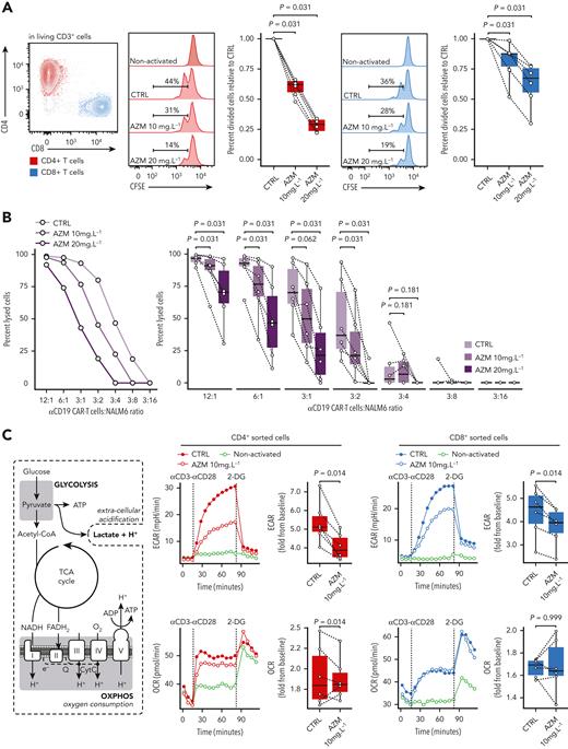 Azithromycin (AZM) inhibits T-cell proliferative and cytotoxic functions by impeding energetic boost from glycolysis. (A) Sorted CD3+ cells from healthy-donor (HD) peripheral mononuclear blood cells were stained with carboxyfluorescein succinimidyl ester (CFSE) and treated in vitro with AZM or control (CTRL) for 24 hours before activation with anti-CD3/CD28 beads. Two days after activation, cells were retrieved from the incubator and analyzed by means of flow cytometry. CFSE staining in CD4+ and CD8+ T-cell subsets are shown in histograms (representative results) and boxplots (each dot is the median value of 3 technical replicates). Results are from 3 independent experiments with 6 independent HDs. (B) Anti-CD19 chimeric antigenic receptor (CAR) T cells were cultured with AZM or CTRL for 24 hours and co-cultured with luciferase expressing CD19+ NALM6 cell lines overnight. Cell lysis was quantified by means of luminescence. A representative result is shown as a dot plot, and pooled 6 independent experiments are depicted in boxplots. (C) Cell energy metabolism overview and corresponding glycolysis and oxidative phosphorylation (OXPHOS) assays from HD sorted CD4+ and CD8+ cells after 24 hours of incubation with AZM or dimethylsulfoxide (CTRL). Extracellular acidification rate (ECAR) and oxygen consumption rate (OCR) were measured at time of activation with anti-CD3/CD28 antibody complexes and then glycolysis was inhibited by 2-deoxyglucose (2-DG). Dot plots show representative results and boxplots pooled results from 6 independent experiments. All P values were computed by means of 2-sided matched-pair Wilcoxon rank test.
