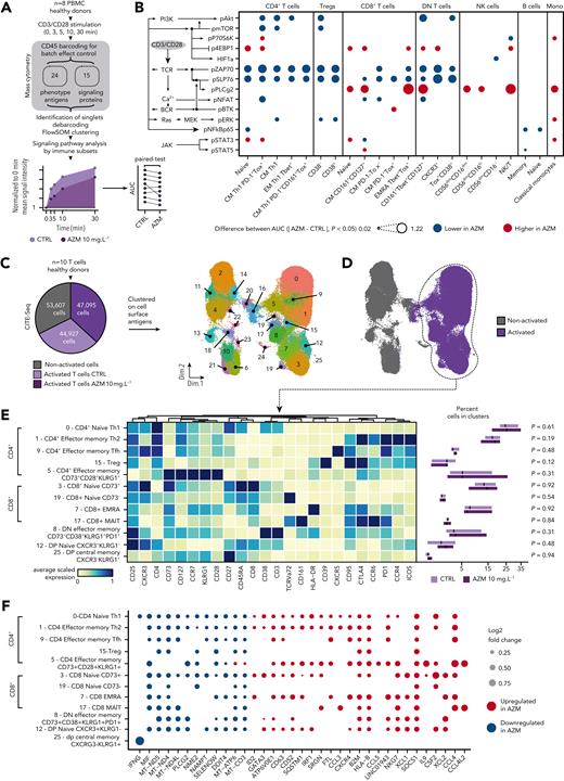 Azithromycin (AZM) inhibits T-cell receptor (TCR) signaling in T cells, promotes immunomodulatory pathways, and impedes mitochondrial mRNA synthesis. (A) Thawed peripheral mononuclear blood cells (PBMCs) from 8 healthy donors (HDs) were treated with AZM or control (CTRL) for 24 hours before CD3/CD28 activation. Activation was stopped at 0, 3, 5, 10, and 30 minutes. To prevent batch effect on sample labeling, samples from each donor were barcoded with a mix of anti-CD45 antibodies and then pooled before mass cytometry staining procedure. Single cells were then clustered by means of FlowSOM algorithm according to phenotype antiges expression. Area under the receiver operating characteristic curve (AUC) of signaling mean signal intensity was computed. Cluster phenotypes are presented in supplemental Figure 18. (B) Dot plot depicting statistically significant difference in AUC between CTRL and AZM conditions. Individual differences at the 5 time points are presented in supplemental Figure 20. P values were computed by means of matched-paired Wilcoxon Rank Sum test. pSTAT6 is not depicted, because it was not statistically different. (C) CD3+-sorted cells from 10 HDs were treated with AZM or CTRL for 24 hours before CD3/CD28 activation. Analysis was performed 2 days after cells activation. The pie chart illustrates the number of living cells retrieved at the end of the single-cell RNA sequencing with the use of cell surface antigen embedding pipeline. Next, using cell surface antigen expression, 26 phenotypic cell clusters were identified as illustrated with the uniform manifold approximation and projection (UMAP). (D) UMAP highlighting retrieved cells from activated conditions. (E) Heatmap representing manually ordered and annotated cell clusters with the corresponding scaled surface antigen expression. Abundances of clusters in cells treated with AZM or CTRL are depicted on boxplots. For visualization purposes, square root transformation was applied on the x-axis. P values were computed by means of matched-paired Wilcoxon rank sum test. (F) Dot plot showing differentially expressed genes in each T-cell clusters from volcano plots is shown in supplemental Figure 21. Only statistically significant changes are depicted. P values were computed by means of Wilcoxon rank sum test and adjusted with false discovery rate.