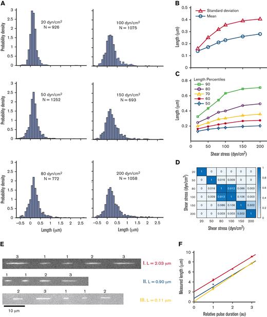 Free-in-flow VWF extension in shear flow. (A) Histogram of VWF length at 6 shear stresses (20, 50, 80, 100, 150, and 200 dyn/cm2). (B) Mean extension vs shear stress (ο) and standard deviation vs shear stress (Δ) of VWF molecules for histograms shown in panel A. Monotonic increases in mean and standard deviation are both consistent with molecules extending under flow. (C) Percentiles 50 to 90 of VWF length vs shear stress for histograms in panel A. (D) Nonparametric statistical significance testing using Mann-Whitney U test comparing each shear stress length distribution. Values for P < .05 indicate statistical significance. (E) Three example trajectories of VWF at 150 dyn/cm2 with different PULSIS-corrected lengths. Example molecules of a long, middle, and short extended molecule. (F) Corresponding plots of pulse length vs relative pulse duration for trajectories in panel E. The y-intercept represents motion blur–corrected lengths for VWF molecules.