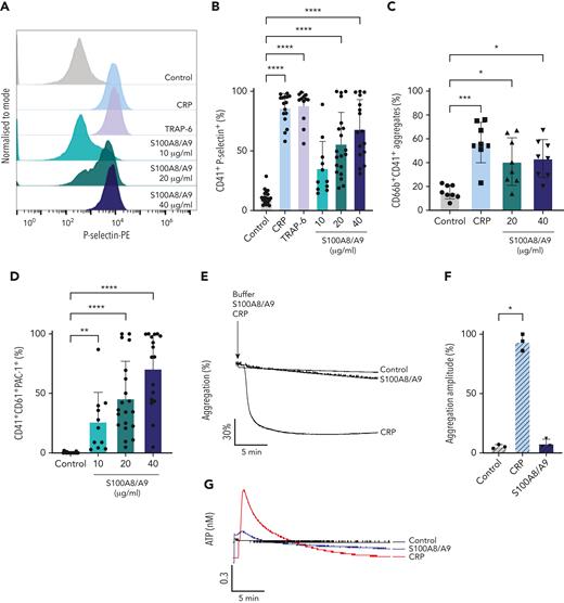 Recombinant S100A8/A9 induces human platelet activation in vitro. Human washed platelets (106 platelets/condition) were incubated with different concentrations of recombinant heterodimeric S100A8/A9 (10, 20, and 40 μg/mL) for 30 minutes at 37°C. (A-B) Platelet activation was determined by flow cytometry using anti–P-selectin antibody. (A) Representative plots from a healthy donor; histograms normalized to mode (each peak normalized to its mode for each condition). (B) Percentage of CD41+P-selectin+ platelets. (C) The percentage of platelet-neutrophil aggregates (CD66b+/CD41+) in whole blood after addition of S100A8/A9 for 30 minutes at 37°C (n = 7). Blood was diluted 1:5. (D) Anti-CD41/CD61 PAC-1 antibody (against activated GPIIb/IIIa) binding to platelets was assessed by flow cytometry and presented as percentage of CD41+ platelets positive for PAC-1 (n = 17). (E-F) Washed platelets (2×108/mL) were incubated with S100A8/A9 (40 μg/mL) or CRP (10 μg/mL), and platelet aggregation was assessed for 20 minutes by light transmission aggregometry (n = 3). (G-H) Washed platelets (2 × 108/mL) were incubated with S100A8/A9 (40 μg/mL) or CRP (10 μg/mL), and ATP generation was assessed for 6 minutes with the CHRONO-LUME luciferin:luciferase assay kit from Chronolog (n = 3). (E,G) Representative traces. (I-J) Washed platelets (2 × 108/mL) were incubated with S100A8/A9 (20 μg/mL or 40 μg/mL) for 6 minutes under stirring condition followed by the addition of exogenous fibrinogen (200 μg/mL). Platelet aggregation was assessed for 6 minutes by light transmission aggregometry (n = 3). (K-L) Alexa-Fluor 488-labeled fibrinogen binding to platelets. (K) Representative plot for fibrinogen binding. (L) Percentage of platelets positive for fibrinogen-Alexa Fluor 488, CRP (10 μg/mL) and TRAP-6 (100 μM) were used as positive control. Data are shown as mean ± SD. The statistical significance was analyzed using ordinary one-way ANOVA. ∗P < .05, ∗∗P < .005, ∗∗∗P < .001, ∗∗∗∗P < .0001.