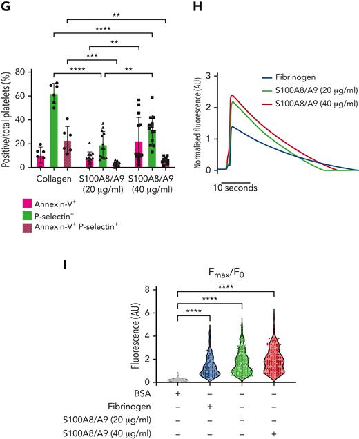 S100A8/A9 induces the formation of procoagulant platelets. Human washed platelets (106 platelets/condition) were incubated with different concentrations of S100A8/A9 (10, 20 and 40 μg/mL) for 30 minutes at 37°C. (A-C) PS exposure was determined by flow cytometry using PE-Cy7–labeled annexin-V (n = 17). CRP (10 μg/mL) and TRAP-6 (100 μM) were used as positive control. (A) Representative histogram for annexin-V staining. Representative histograms normalized to mode (each peak normalized to its mode for each condition). (B) Percentage of CD41+annexin-V+ platelets. (C) Fold change in the mean fluorescent intensity (MFI) of agonist-activated platelets over control. (D) The percentage of CD41+MVs positive for annexin-V (n = 6). (E-F) Human washed platelets spreading on collagen or S100A8/A9. Representative differential interference contrast (DIC) images of spread platelets. (F) Representative annexin-V (magenta) and P-selectin (green) staining for adherent platelets. (G) Quantification of annexin-V–positive, P-selectin–positive, or annexin-V and P-selectin–double positive platelets adherent on collagen and S100A8/A9 (positive platelets/total platelets). The statistical significance was analyzed using two-way ANOVA with Tukey’s multiple comparison test between all groups. (H-I) Assessment of intracellular Ca2+ release from platelets spread over surfaces coated with S100A8/A9 (20 and 40 μg/mL), fibrinogen, or bovine serum albumin assessed using BAPTA-1-AM Ca2+ sensitive dye. (H) Representative Ca2+ traces assessed using Oregon Green-488 BAPTA-1-AM. (I) Peak fluorescence at time point zero (F0/Fmax). Data are shown as mean ± SD. The statistical significance was analyzed using a nonparametric test (Kruskal-Wallis test). ∗P < .05, ∗∗P < .005, ∗∗∗P < .001, ∗∗∗∗P < .0001.