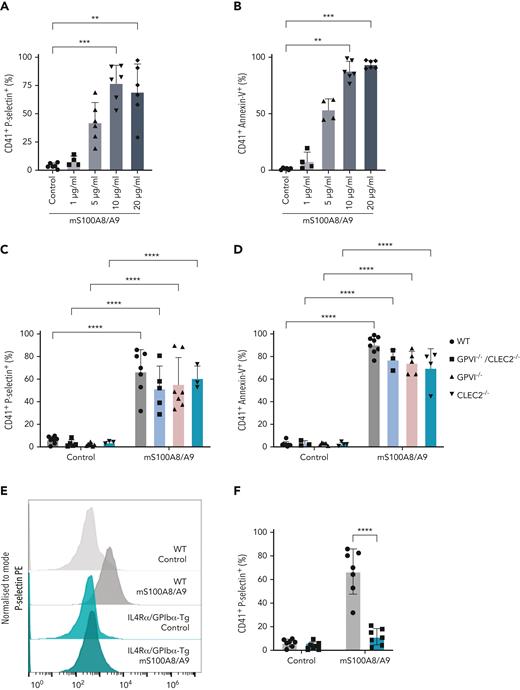 Murine S100A8/A9 activates mouse platelets through GPIbα and CD36. Washed murine platelets (106 platelets/condition) were incubated with different doses of recombinant mouse S100A8/A9 for 30 minutes at 37°C. Platelet activation was determined by flow cytometry using (A) anti–P-selectin antibody and (B) annexin-V binding. (C-K) Washed platelets isolated from WT, GPVI (GPVI−/−), CLEC-2 (CLEC-2−/−), GPVI/CLEC-2 knock-out (GPVI−/−/CLEC-2−/−), or GPIbα−/− mice (IL4R/GPIbα−Tg mice) were incubated with S100A8/A9 (10 μg/mL) for 30 minutes at 37°C. The percentage of platelets positive for P-selectin, GPIIb/IIIa activation (JON/A), and annexin-V binding were measured by flow cytometry. Data are shown as percentage platelets (CD41+) positive for different markers. (K) Platelets isolated from WT or IL4R/GPIbα−Tg mice were pretreated with SSO (25 μM) before addition of S100A8/A9 (10 μg/mL) for 30 minutes at 37°C, and annexin-V binding was assessed by flow cytometry. The statistical significance was analyzed using nonparametric test (Kruskal-Wallis test) (A-B), ordinary two-way ANOVA with Sidak’s multiple comparison test (C,D,F,H,J), and two-way ANOVA with Tukey’s multiple comparison test (K). Data are shown as mean ± SD. ∗P < .05, ∗∗P < .005, ∗∗∗P < .001.