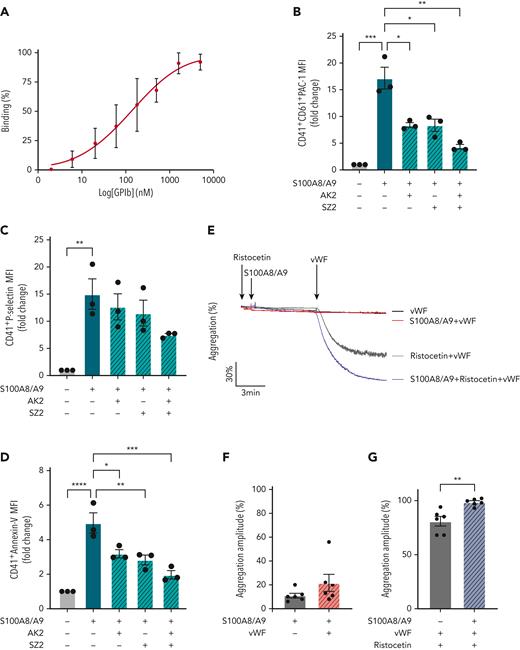 GPIbα binds to S100A8/A9and increases VWF-dependent platelet agglutination. (A) Binding of rGPIbα to immobilized S100A8/A9. Data presented as mean ± SEM (n = 3). (B-D) Washed human platelets (106/condition) were preincubated with or without AK2 Ab (40 μg/mL), SZ2 (40 μg/mL), or both for 10 minutes at 37°C and then stimulated with S100A8/A9 (20 μg/mL) for 30 minutes at 37°C. Platelet activation was determined by flow cytometry using (B) anti-CD41/CD61 PAC-1 antibody, (C) anti–P-selectin antibody, and (D) annexin-V binding. Data are shown as MFI of treated platelets over control (unstimulated) for different markers. (E-G) Ristocetin-induced platelet aggregation was assessed by addition of VWF (1 μg/mL) and ristocetin (1.5 mg/mL) to washed platelets. Platelets were primed with S100A8/A9 and ristocetin for 6 minutes before addition of VWF. Platelet aggregation was monitored for 6 minutes after VWF addition (n = 6). (E) Representative trace. Data are shown as mean ± SEM. The statistical significance was analyzed using ordinary one-way ANOVA (B-D) and nonparametric Mann–Whitney t test (Kruskal-Wallis test) (F-G). ∗P < .05, ∗∗P < .01, ∗∗∗P<.001, ∗∗∗∗P < .0001.