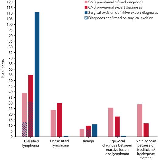 Comparison of CNB provisional and surgical excision definitive diagnoses made on 125 paired CNB/surgical excision samples.