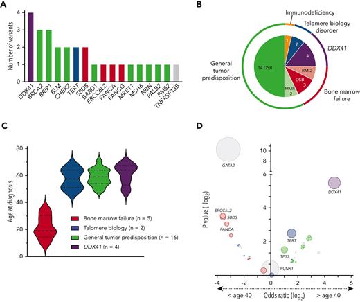 Spectrum and distribution of deleterious germ line variants among subgroups and association with age at diagnosis. (A) Bar chart depicting the number of confirmed P/LP germ line variants per gene identified in 28 patients with MDS. Compound heterozygous variants in the AR gene SBDS were counted as 1 variant per patient. Color schematic: purple, DDX41; green, general tumor predisposition genes; blue, telomere biology disorders; red, bone marrow failure genes; gray, others. (B) Nested pie chart showing the distribution of gene subgroups as well as biological functions. (C) Violin plots of the age at diagnosis of the 4 most common groups of predisposition syndromes identified in this study. (D) Association between the affected gene in the germ line and the age at MDS diagnosis. The data are derived from our study (confirmed/presumed germ line, n = 44) and other larger cross-sectional studies on germ line variants in patients with MDS using either panel-based or WES covering most genes of interest.5-8,12,15,57 Each circle represents a gene, and the circle size corresponds to the frequency of variants within this gene in the total cohort. Genes in the upper left quadrant were associated with an age at diagnosis of less than 40 years, whereas genes in the upper right quadrant were associated with an age at diagnosis greater than 40 years, based on calculated odds ratio. Color schematic: purple, DDX41; green, general tumor predisposition genes; blue, telomere biology disorders; red, bone marrow failure genes; gray, others. DSB, double-strand break repair; MMR, mismatch repair; RM, ribosome maturation.