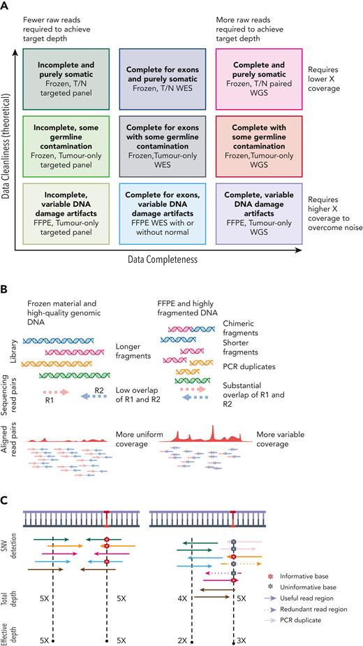 Experimental variables affecting data quality and accuracy for detecting mutations. (A) Panel-based, WES and WGS are compared in their completeness and requirements for volume of raw data (reads). Each method can be applied to tumors in isolation or with matched germ line DNA also sequenced (T/N pairs). Only common single nucleotide polymorphisms can be recognized from variants detected in unmatched tumors, whereas rare germ line variants and private mutations can be removed if the germ line is sequenced. (B) Frozen tissue is a preferred source of genomic DNA. FFPE-derived DNA has various forms of DNA damage and can be highly fragmented, leading to more overlapping read pairs and more redundant sequence information from each fragment. (C) It has been common to report the average total depth of depth regardless of fragment length or read overlap. Effective (or corrected) depth accounts for the redundant information from overlapping reads and is more consistent with how variant calling algorithms detect mutations.
