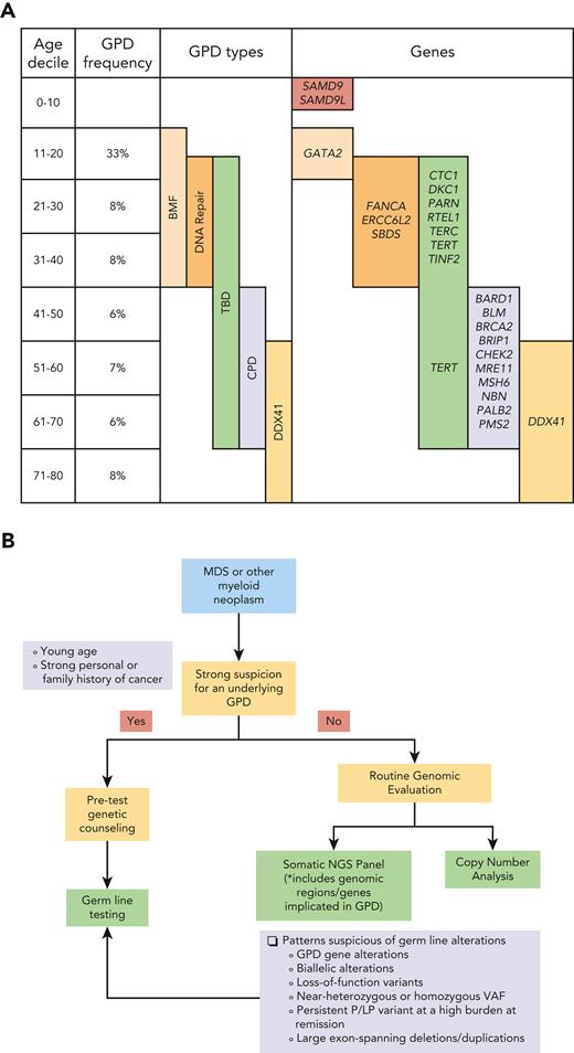 A significant proportion (overall ∼7%) of patients with myelodysplastic syndrome or myelodysplastic neoplasm (MDS) have a deleterious gene variant implicated in germ line predisposition disorder (GPD). The frequencies, types of GPDs, and the genetic alterations vary across different age ranges. Accurate identification of patients with GPD is of utmost importance as it necessitates modification to the management approaches. In addition to unusual clinical presentations such as younger age of onset and strong personal or family history of cancer, there are specific patterns of gene alterations that can be noted on routine somatic mutation panel and copy number testing that are highly suspicious for underlying GPDs. The proposed comprehensive diagnostic work-up can provide important clues to identify these patients.