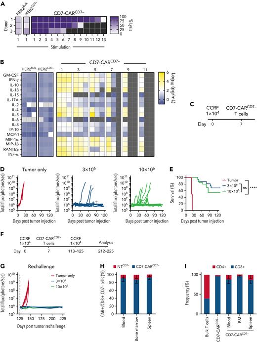 CD7-CARCD7− T cells have potent anti–T-ALL activity. (A-B) Serial stimulation assay with CD7-CARCD7−, HER2-CARBulk, or HER2-CARCD7− T cells and CCRF target cells. (A) CCRF cells at a 1:1 E:T ratio and fresh target cells were added every 72 hours if a luciferase-based cytotoxicity assay demonstrated >50% killing (N = 3, at stimulation 1, P < .001, 1-way ANOVA, CD7-CARCD7− between stimulation 1 and 5, ns, unpaired t test). Double-gradient heat map (purple, 100% target cell lysis; white, 0% target cell lysis). (B) Multiplex analysis of cytokine production by CD7-CARCD7− T cells or HER2-CARBulk and HER2-CARCD7− against CCRF cells at a 1:1 E:T ratio. At stimulation 1 by 2-way ANOVA: CD7-CARCD7− vs HER2-CARBulk, P < .05 for granulocyte-macrophage colony-stimulating factor (GM-CSF), IL-13, IL-4, IL-5, IL-8, MCP-1, Regulated on Activation, Normal T cell Expressed and Secreted (RANTES), tumor necrosis factor alpha (TNF-α) ; P < .01 for IL-17A, IP-10; P < .0001 for IFN-γ. CD7-CARCD7− vs HER2-CARCD7−P < .05 for IFN-γ, IL-4, and tumor necrosis factor α (TNF-α) P < .05. Double-gradient heat map (blue, 100 pg/mL; white, 102 pg/mL; yellow, 106 pg/mL). (C-I) In vivo testing of CD7-CARCD7− T cells. (C) Schematic of xenograft experiments: NOD.Cg-Prkdcscid Il2rgtm1Wjl/SzJ (NSG) mice were injected IV via tail vein with 1 × 104 CCRF cells on day 0 and a single IV dose of 3 × 106 (N = 16) or 10 × 106 (N = 20) CD7-CARCD7− T cells on day 7; mice injected with tumor-only served as a control (N = 20). Mice were monitored via IVIS imaging and tracked for (D) bioluminescence (total flux photons per second) and (E) survival (P < .0001, Mantel-Cox log-rank, P = ns between dose levels). (F) Schematic of tumor rechallenge experiments. (G) Mice surviving and having no detectable tumor burden after 125 days of treatment with CD7-CARCD7− T cells, received a second dose of 1 × 104 CCRF cells (N = 5 for 3 × 106 group and N = 4 for 10 × 106 group); naïve age-matched mice served as control (N = 5) (day 146, P = .007, 1-way ANOVA). (H-I) Peripheral blood, spleen, and bone marrow (N = 9) was collected from mice on days 212 to 225 (∼100 days postrechallenge). All surviving animals had <0.1% residual disease in the marrow. Flow cytometry analysis of CD3, CD4, CD8, and F(ab’)2 fragments to determine the presence of CAR T cells and their immunophenotype. Bulk T cells and CD7-CARCD7− T cells served as an immunophenotype reference (CAR+ vs CAR− T cells, P < .0001, 2-Way ANOVA, CD4 vs CD8 P < .01, 2-way ANOVA). ☩, one mouse that died of ischemia-associated tubular necrosis and one that died due to unknown cause; ns, not significant.