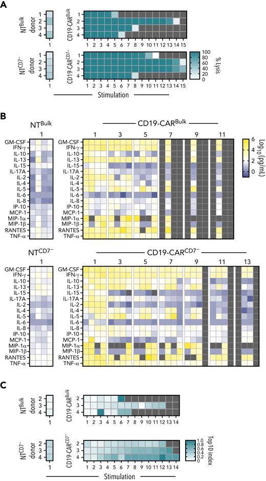 CD19-CARCD7− T cells maintain antitumor activity and secrete proinflammatory cytokines after repeated antigen exposure. (A-B) Serial stimulation analysis of effector cells in the presence of BV173 at a 1:1 E:T ratio. (A) Tumor cell lysis was evaluated every 72 hours by a luciferase-based assay, and in cases where lysis was >50%, fresh leukemia cells were added to the coculture (N = 4; stimulation 1, P < .001 between NT and CD19-CAR groups, ns between Bulk and CD7 at stimulation 1 and stimulation 5; 1-way ANOVA and nonpaired t test). Double-gradient heat map (teal, 100% target cell lysis; white, 0% target cell lysis). (B) Supernatant from odd-numbered stimulations starting at stimulation 1 was collected 24 hours after the addition of leukemia cells. Multiplex analysis of cytokine production of CAR T cells after 24 hours of restimulation (N = 4). Double-gradient heat map (blue, 10° pg/mL; white, 102 pg/mL; yellow, 106 pg/mL). CD19-CARBulk vs CD19-CARCD7− at stimulation 1 and 5, data ns by 2-way ANOVA. (C) Clonality as measured by next-generation sequencing of NTBulk, NTCD7−, CD19-CARBulk, and CD19-CARCD7− TCR repertoires throughout repeated exposure to antigen; samples were collected every 72 hours. Double-gradient heat map showing the Top10 index values (see “Methods”). Values closer to 1.0 (teal) indicate higher clonality, whereas values closer to 0.0 indicate a more even repertoire. ns, not significant.
