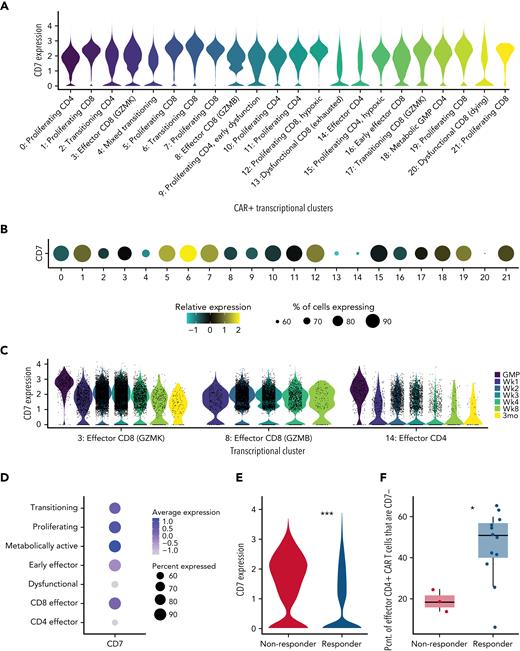 CD19-CAR T cells expressing low levels of CD7 mark functional CD4+ effector CAR T cells in patients with refractory/relapsed B-ALL. (A) Violin plot of single-cell CD7 expression across 21 transcriptional clusters of clinical-grade CD19-CAR T-cell products and postinfusion samples from 16 patients with refractory/relapsed B-ALL. Data represent 184 791 transcriptionally identified CD19-CAR T cells. Transcriptional clusters were annotated using several key markers outlined in supplemental Table 1. (B) Dot plot of relative CD7 expression across transcriptional clusters from panel A. Dot size corresponds to the percentage of cells expressing any amount of CD7 as indicated. (C) Violin plot of single-cell CD7 expression from select clusters from panel A across sampling timepoints and clinical-grade CD19-CAR T-cell products as indicated by color. (D) Dot plot of relative expression of CD7 across functional annotations group as shown in (A). Dot size corresponds to the percentage of cells expressing any amount of CD7 as indicated. (E) Violin plot comparing expression of CD7 within the CAR+ CD4+ cytotoxic effector cells (cluster 14) between patients with complete response to therapy at 4 weeks after infusion (Responders) and patients without complete response to therapy (Nonresponders). Wilcoxon rank-sum with Bonferroni correction, adjusted P = 2.309236e-106. (F) Boxplot representing the proportion of CAR+ CD4+ cytotoxic effector cells (cluster 14) with no detected CD7 transcripts across patients with and without response to therapy. Boxplots indicate the median (middle bar), the 25th, and the 75th percentiles (lower and upper hinges, respectively) and 1.5 times the interquartile range from each hinge (whiskers). Wilcoxon rank-sum exact test, P = 0.03.
