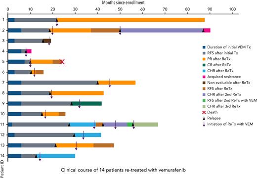 The clinical course of 14 patients who were retreated with vemurafenib. Patient IDs 2 and 4 were found to have acquired resistance to vemurafenib via CDKN2A loss and activating KRAS mutations, respectively.