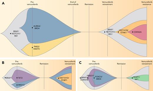 Mutations were found in patients at the time of vemurafenib retreatment and 1 case of acquired resistance to vemurafenib. (A-C) Fishplot representation of sequencing data collected from patients at the time of vemurafenib treatment initiation and subsequent vemurafenib retreatment. Each patient had BRAFV600E mutation at the start of treatment that was suppressed during treatment and reappeared at the beginning of retreatment with the emergence of new subclones and/or persistence of prior subclones. (A) Patient ID1 had an initial complete hematologic response to vemurafenib retreatment but stopped responding during retreatment and was noted to have acquired a CDKN2A mutation at the time of resistance. Patient ID2 and Patient ID3 had acquired (B) HIST1H1D and PCBP1 mutations and (C) KEAP1 and NF1 mutations at the time of vemurafenib retreatment, but both patients achieved a complete hematologic response.