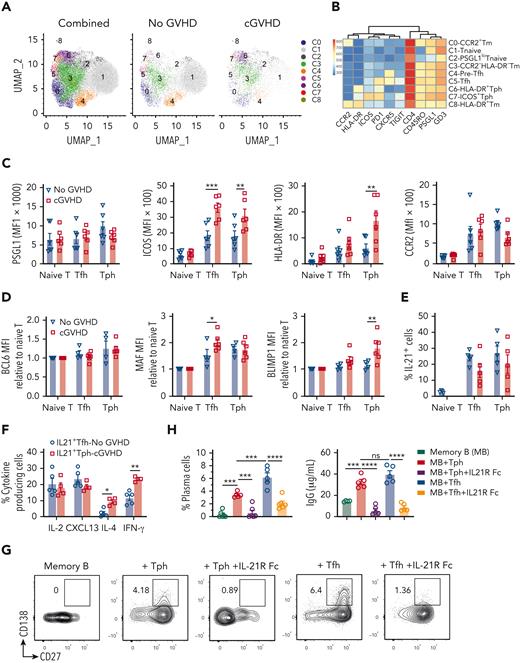 B-cell helper–related markers and functional analysis of Tph cells in the blood of patients with cGVHD. Thawed mononuclear cell samples from patients with cGVHD were stained with multiple antibodies. (A) Cluster identification was visualized with UMAP, and (B) heatmap was generated with FlowSOM to analyze pooled data from 4 samples, 2 with no GVHD and 2 with active cGVHD. (C) Surface expression of PSGL1, ICOS, HLA-DR, and CCR2 were measured and calculated (N = 6). (D) Intracellular BCL6, MAF, and BLIMP1 were measured among naïve T cells, Tfh cells, and Tph cells between patients with no GVHD (N = 4) and patients with cGVHD (N = 6). (E) IL-21 production by Tfh and Tph cells from patients with no GVHD and patients with cGVHD was also tested (N = 5). (F) IL-2, CXCL13, IL-4, and interferon-γ expression among IL-21–producing Tfh and Tph cells were examined. (G) Sorted CD3+ CD4+ CD45RA- PD1hiCXCR5- Tph and PD1hiCXCR5+ Tfh cells were cultured with memory B cells in vitro in the presence of lipopolysaccharide and staphylococcal enterotoxin B with or without IL-21R Fc for 7 days. CD27+CD138+ plasma cells were measured by flow cytometry, and (H) plasma cell percentages were calculated. Supernatant IgG levels were measured by enzyme-linked immunosorbent assay (ELISA). Data represent mean ± SEM. P values were calculated by 2-way ANOVA with Holm-Sidak test (C, D, F) and 1-way ANOVA with Holm-Sidak test (H). ∗P < .05; ∗∗P < .01; ∗∗∗P < .001; ∗∗∗∗P < .0001.