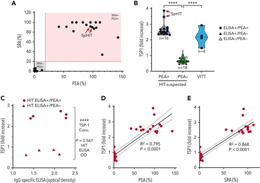 The PF4-TRA is highly sensitive and specific for the detection of platelet-activating HIT and VITT antibodies. (A) PEA and SRA results for the cohort of HIT-suspected patient samples tested in the PF4-TRA are shown on the x-axis and y-axis, respectively. Red dotted lines represent positive cutoff values (19% P-selectin expression for the PEA and 20% serotonin release for the SRA). (B) PF4-TRA results for 34 HIT-suspected patient samples and 4 VITT patient samples are shown. ELISA-positive/PEA-positive samples, ELISA-positive/PEA-negative samples, and ELISA-negative/PEA negative samples are indicated by closed circles, closed triangles, and open triangles, respectively. Each data point represents the mean of technical duplicates. An ordinary 1-way analysis of variance was used for comparisons, and means are shown as dotted lines. (C) TRA results for OD-matched HIT ELISA-positive/PEA-positive patient samples (closed circles) vs HIT ELISA-positive/PEA-negative patient samples (closed triangles) are shown. Each data point represents the mean of technical duplicates. A 2-tailed, unpaired Student t test was used to compare OD values and TSP1 fold changes. (D) PEA and (E) SRA results were correlated with TSP1 release for the HIT-suspected patient samples tested in the PF4-TRA. Linear regression analysis (black solid line) with 95% CI (dashed lines) are presented. The fold increase in TSP1 released from platelets incubated with the HIT/VITT cohort samples relative to release seen with a normal serum control is depicted on the y-axis for (B), (C), (D), and (E). ∗∗∗∗P < .0001. IgG, immunoglobulin G; SpHIT, spontaneous HIT.