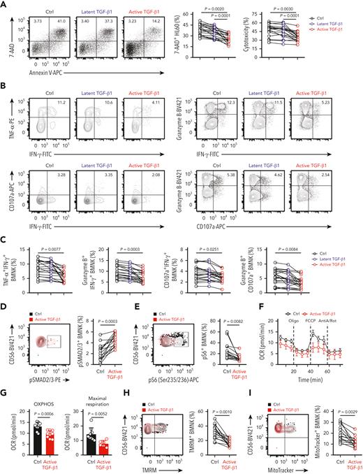 Active TGF-β1 inhibits effector function, mTORC1 activity, and mitochondrial respiration of bone marrow−derived NK cells ex vivo. (A) Flow cytometry analysis showing the percentage of 7-AAD+ HL60 cells (target cells) when cocultured for 5 hours with control (dimethyl sulfoxide) NK cells, 10 ng/mL latent TGF-β1-treated NK cells, and 10 ng/mL active TGF-β1-treated NK cells to estimate cytotoxicity. NK cells: target cells ratio = 5:1; n = 20. (B-C) Flow cytometry data indicating the proportion of IFN-γ+TNF-α+ NK cells, IFN-γ+granzyme B+ NK cells, IFN-γ+ CD107a+ NK cells, and granzyme B+ CD107a+ NK cells within the total population of control NK cells, latent TGF-β1-treated NK cells, and active TGF-β1-treated NK cells that were cocultured with HL60 cells for 5 h. n = 20. (D-E) Flow cytometry analysis showing the proportion of (D) pSMAD2/3+ and (E) pS6+ NK cell populations in the control (black) and active TGF-β1-treated (red) BMNK cells. n = 15. (F-G) Oxygen consumption rates (OCRs) of control and active TGF-β1-stimulated NK cells under basal conditions and in response to oligomycin (Oligo), the mitochondrial decoupler FCCP, and rotenone + antimycin (R + A). (G) Estimation of OCR values (OXPHOS activity) under basal conditions (left) and maximum respiration rates after FCCP uncoupling (right). OCRs were analyzed for 9 donors per group. (H-I) Flow cytometry analysis indicating the proportion of (H) tetramethylrhodamine methyl ester+ and (I) MitoTracker Green+ NK cells in the control (black) and active TGF-β1-treated (red) groups of BMNK cells. n = 15. Data were analyzed by 1-way analysis of variance with Tukey multiple comparisons test (A,C) or 2-tailed paired t-test (E, I); ∗P < .05; ∗∗P < .01; ∗∗∗P < .001; ∗∗∗∗P < .0001. The data are represented as means ± standard deviation.