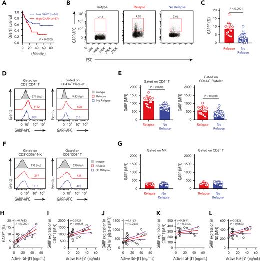 Surface expression levels of GARP on CD4+ T cells correlate positively with active TGF-β1 levels in the bone marrow of relapsing AML patients. (A) Kaplan-Meier analyses of overall survival rates of AML patients from the Gene Expression Profiling Interactive Analysis dataset according to GARP expression levels. High GARP expression (n = 87); low GARP expression (n = 86). Median value was used as the cutoff. P value was calculated by log-rank test. (B-C) Flow cytometry analysis indicating GARP expression on BMMCs isolated from AML patients with early relapse (red; n = 17) or without relapse (blue; n = 22). (D-E) Flow cytometry analysis showing GARP expression levels on CD4+ T cells (left) and platelets (right) from the bone marrow of AML patients with early relapse (red; n = 9) or without relapse (blue; n = 19). (F-G) Flow cytometry analysis showing GARP expression levels on NK cells (left) and CD8+ T cells (right) from the bone marrow of AML patients with early relapse (red; n = 9) or without relapse (blue; n = 19). (H-L) Spearman rank correlation analysis showing the relationship between active TGF-β1 levels and the proportion of GARP+ lymphocytes or the MFI corresponding to the density of GARP as shown by the Spearman correlation coefficients (r) and P values. The data in C, E, and G were analyzed by 2-tailed unpaired t-test; ∗P < .05; ∗∗P < .01; ∗∗∗P < .001; ∗∗∗∗P < .0001. The data are represented as means ± standard deviation.