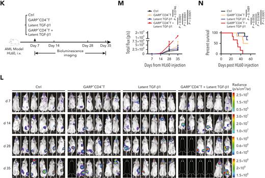 GARP+CD4+ T cells induce TGF-β1 activation that inhibits NK cell-mediated antitumor effects both in vitro and in vivo. (A-C) Flow cytometry data indicating the percentage of 7-AAD+ HL60 cells (target cells) cocultured for 5 hours with BMNK cells pretreated with dimethyl sulfoxide (DMSO; solvent control; black), latent TGF-β1 (10 ng/mL; blue), latent TGF-β1 (10 ng/mL) plus GARP-CD4+ T cells (purple), GARP+CD4+ T cells (green), or latent TGF-β1 (10 ng/mL) plus GARP+CD4+ T cells (red) to estimate cytotoxicity. The NK cells: target cells ratio = 5:1; the ratio of NK cells: GARP-CD4+ T cells or GARP+CD4+ T cells was 5:1. n = 10. (D-G) Flow cytometry analysis showing the proportion of (D) CD107a+IFN-γ+ NK cells, (E) granzyme B+ CD107a+ NK cells, and (F) granzyme B+IFN-γ+ NK cells within the total BMNK cell population that was pretreated with either DMSO (solvent control; black), latent TGF-β1 (10 ng/mL; blue), latent TGF-β1 (10 ng/mL) plus GARP−CD4+ T cells (purple), GARP+CD4+ T cells (green), or latent TGF-β1 (10 ng/mL) plus GARP+CD4+ T cells (red) and cocultured with HL60 cells for 5 hours. n = 10. (H) ELISA results indicating the levels of active TGF-β1 in the supernatants of coculture experiments described in D-G. (I-J) Flow cytometry analysis showing NKp30 (I, left) and NKG2D (I, right) expression levels on BMNK cells pretreated with DMSO (solvent control), latent TGF-β1 (10 ng/mL), latent TGF-β1 (10 ng/mL) plus GARP−CD4+ T cells, GARP+CD4+ T cells, or latent TGF-β1 (10 ng/mL) plus GARP+CD4+ T cells. n = 10. (K) Experimental design: NCG mice were injected into the tail vein with 5 × 105 HL60 cells stably expressing luciferase. After confirmation of engraftment by bioluminescence imaging (BLI) on day 7, 2.5 × 106 NK cells were transferred to all the mice via tail vein in combination with the injection of PBS control (50 μL, IP; QW), 5 × 105 GARP+CD4+ T cells, latent TGF-β1 (50 μL, 5 ng/mL; IP; QW), or 5 × 105 GARP+CD4+ T cells in the presence of latent TGF-β1. AML burden was monitored by BLI at the indicated time points. (L) BLI of AML burden. (M) AML burden was quantified as the average value of the total flux (p/s). n = 6 mice per group. (N) Kaplan-Meier survival curve of mice bearing HL60 cell−derived tumors. Statistical significance was determined by log-rank Mantel-Cox test. n = 6 mice per group. The data in B, C, G, H, J, and M were analyzed by 1-way analysis of variance with Tukey multiple comparisons test; ∗P < .05; ∗∗P < .01; ∗∗∗P < .001; ∗∗∗∗P < .0001. The data are represented as means ± standard deviation.