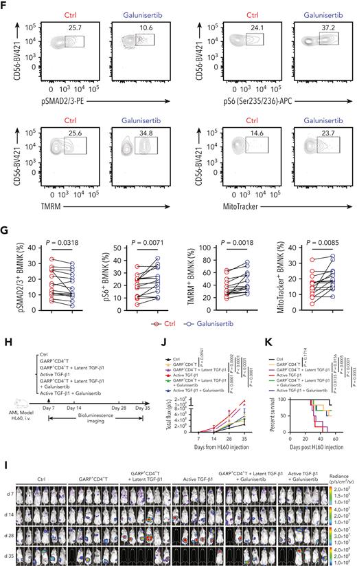 Inhibition of TGF-β1 signaling restores antileukemic activity of NK cells. (A-C) Flow cytometry analysis showing the percentage of 7-AAD+ primary AML blasts and Annexin V + primary AML blasts (target cells) when cocultured for 5 hours with NK cells purified from the bone marrow of AML patients with early relapse. The BMNK cells were pretreated with dimethyl sulfoxide (solvent control) or galunisertib (10 μM) for 24 hours before coculture. NK cell: target cell ratio = 5:1. (D-E) Flow cytometry analysis indicating the proportions of IFN-γ+ granzyme B+ NK cells, IFN-γ+ TNF-α+ NK cells, granzyme B+ CD107a+ NK cells, IFN-γ+ CD107a+ NK cells among control and galunisertib-treated NK cells isolated from the bone marrow of AML patients with early relapse. n = 15. (F-G) Flow cytometry analysis showing the proportion of pSMAD2/3+ NK cells (upper left), pS6+ NK cells (upper right), tetramethylrhodamine methyl ester+ NK cells (lower left), and MitoTracker Green+ NK cells (lower right) among control and galunisertib-treated NK cells isolated from the bone marrow of AML patients with early relapse. n = 15. (H) Experimental scheme: NCG mice were injected with 5 × 105 HL60 cells stably expressing luciferase into the tail vein. After confirmation of engraftment by BLI on day 7, 2.5 × 106 NK cells were transferred to all the mice via tail vein in combination with vehicle control, 5 × 105 GARP+CD4+ T cells, 5 × 105 GARP+CD4+ T cells in the presence of latent TGF-β1 (50 μL, 5 ng/mL; IP; QW), active TGF-β1 (50 μL, 5 ng/mL; IP; QW) in combination with vehicle control, 5 × 105 GARP+CD4+ T cells in the presence of latent TGF-β1 and galunisertib at 75 mg/kg twice daily (BID) by oral gavage for 21 days, or active TGF-β1 in combination with galunisertib (75 mg/kg; twice daily for 21 days) for treatment. AML burden was monitored by BLI at the indicated time points. (I) BLI of AML burden. (J) AML burden was quantified as the average value of the total flux (p/s). n = 6 mice per group. (K) Kaplan-Meier survival curve of mice bearing HL60 cell−derived tumors. Statistical significance was determined by log-rank Mantel-Cox test. n = 6 mice per group. Data in B, C, E, and G were analyzed by 2-tailed paired t-test. Data in J were analyzed by 1-way analysis of variance with Tukey multiple comparisons test. ∗P < .05; ∗∗P < .01; ∗∗∗P < .001; ∗∗∗∗P < .0001. Data are represented as means ± standard deviation.